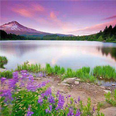 pg电子最新网站入口